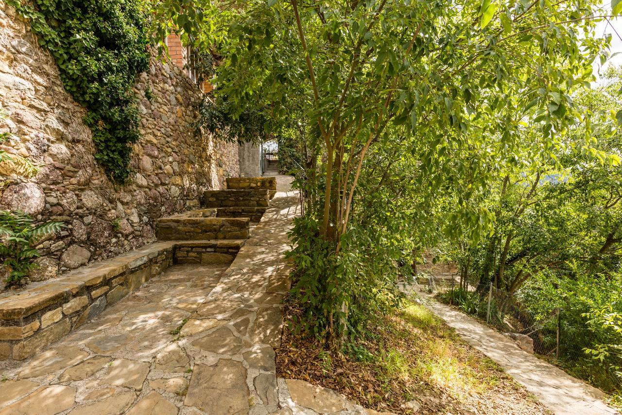 Alberg La Solana Salas de Pallas Extérieur photo